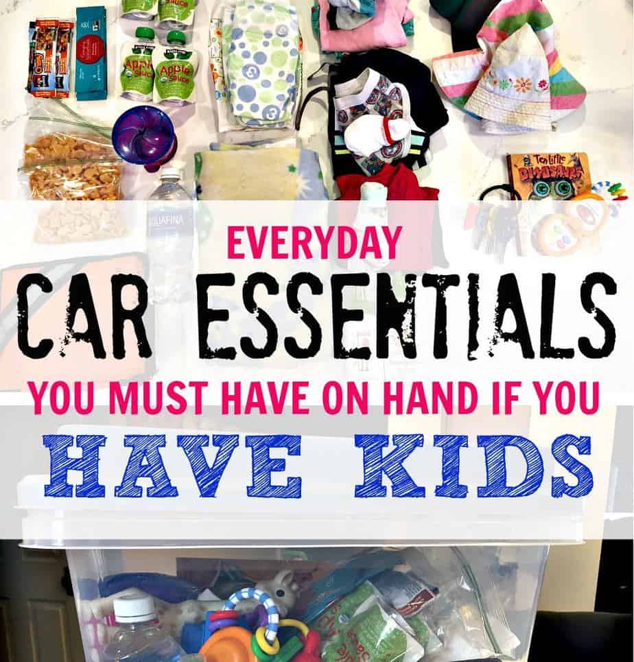 Car Essential Bin for Parents of Kids