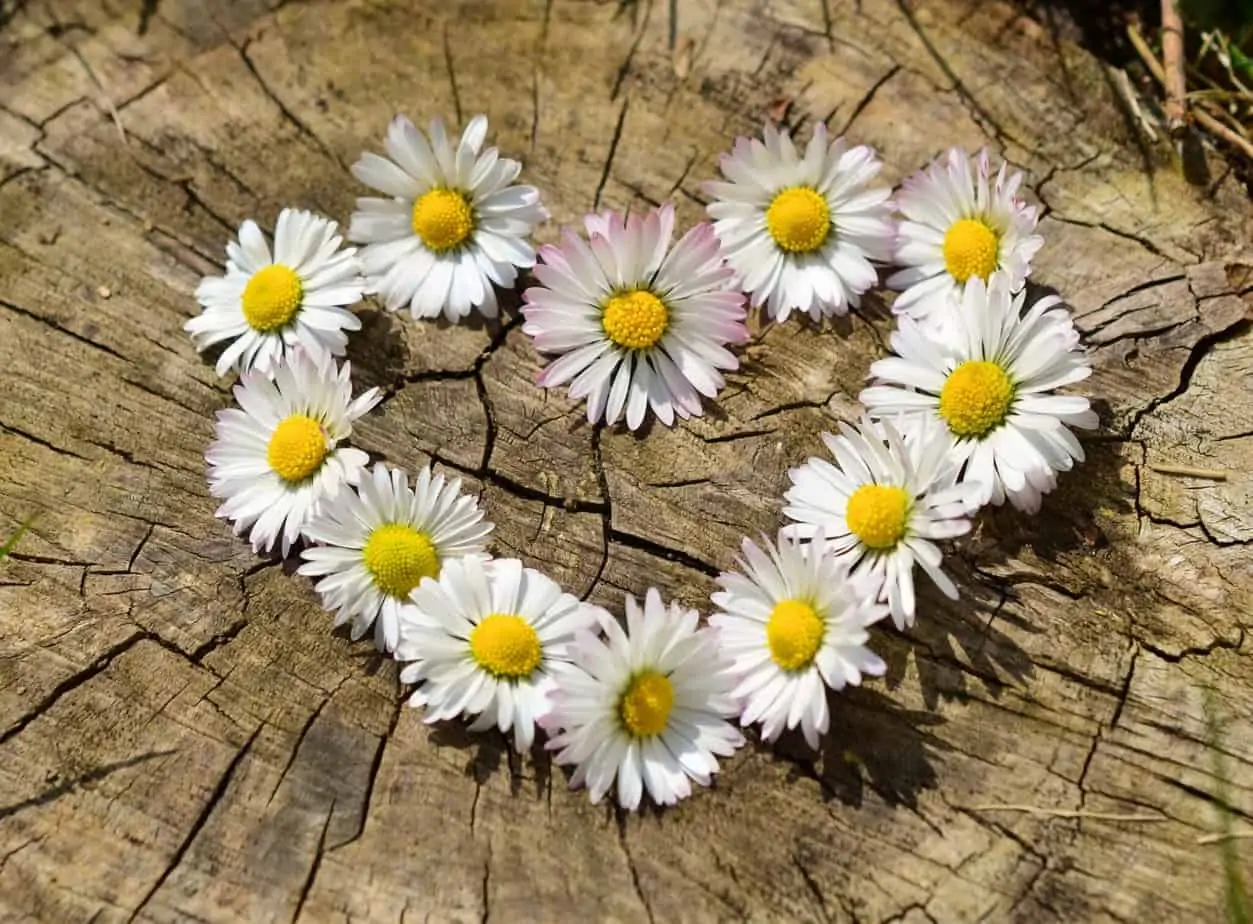 Building an Attitude of Gratitude in Kids