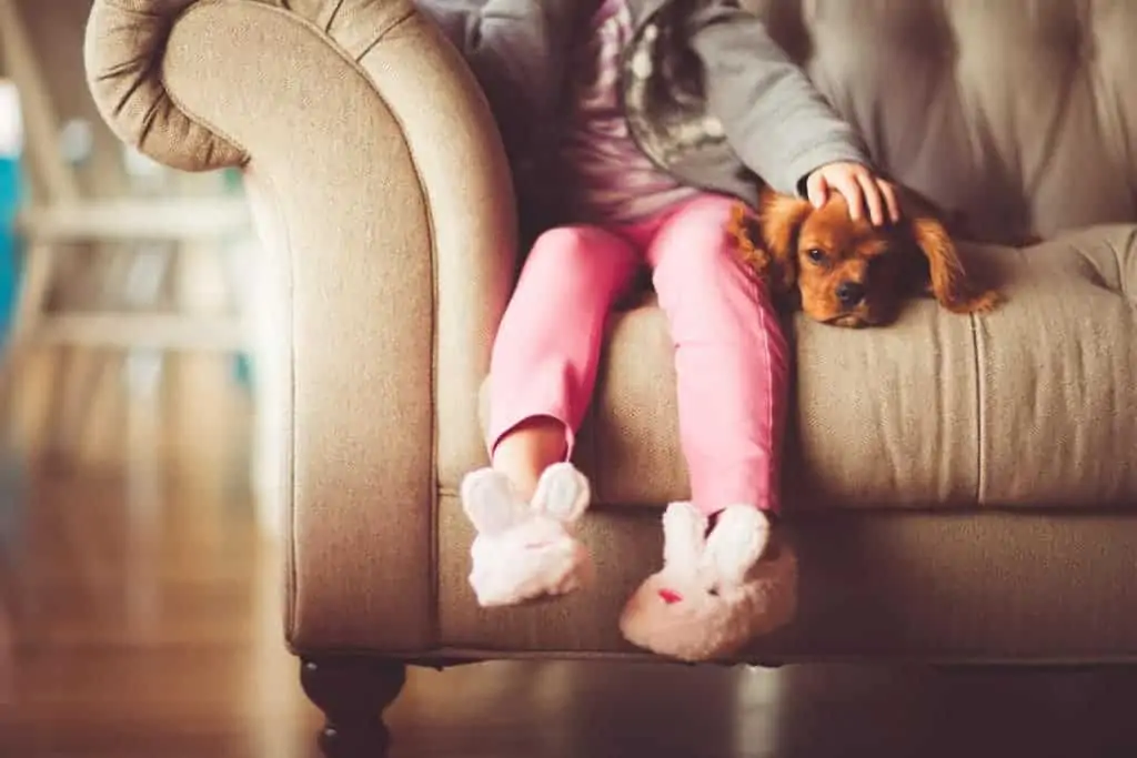 A Child Predator is hiding in plain sight - they look just like you and me. How to spot a Child Predator: Red Flags & Warning Signs of a Pedophile. Child grooming techniques a child predator uses you need to know. How to tell if someone is preying on your trust, taking advantage of your situation & innocent child. 