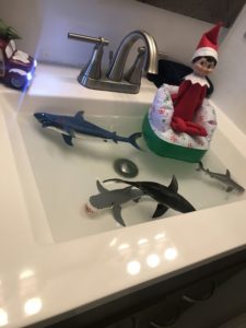 Elf-Hanging-out-with-Sharks