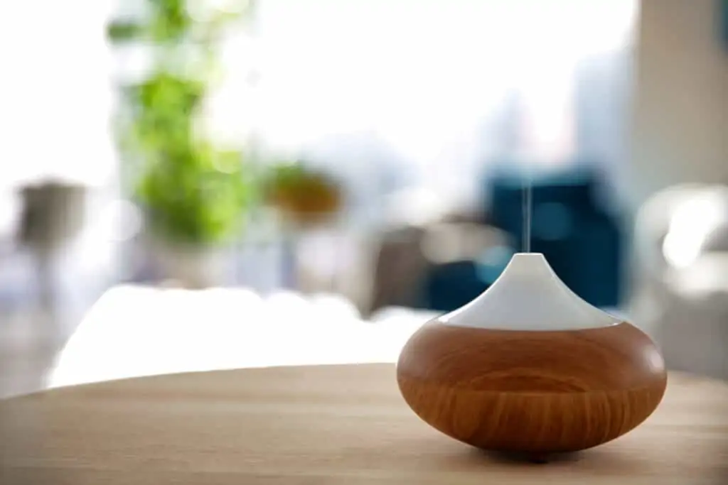 10 natural ways to make your house smell amazing, and hide those funky odors that can come with kids and pets. How to make your house smell amazing!