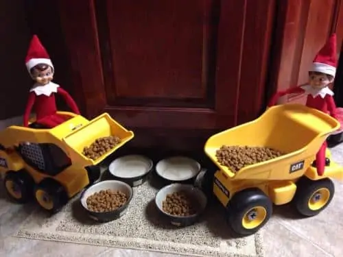 Easy Elf Idea