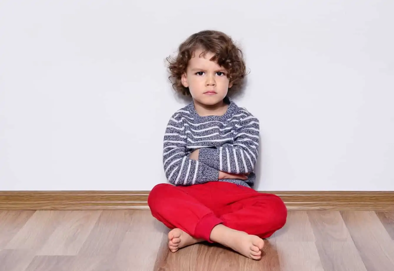 Meet more than the basic needs of a child. Core emotional needs of a child to help them thrive, teach kids about emotions, and reduce power struggles.