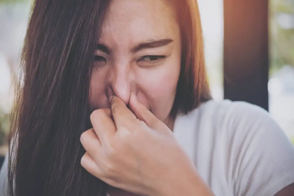 10 natural ways to make your house smell amazing, and hide those funky odors that can come with kids and pets. How to make your house smell amazing!
